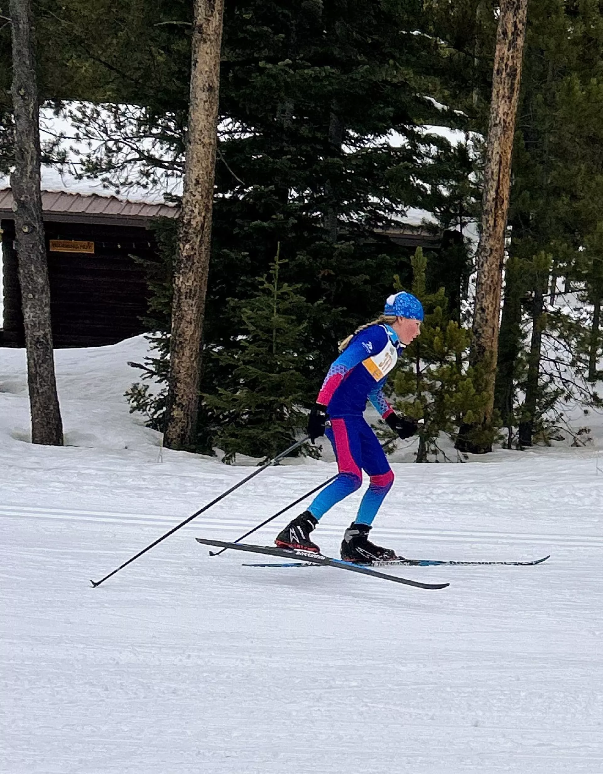 Silver Run Nordic Skier