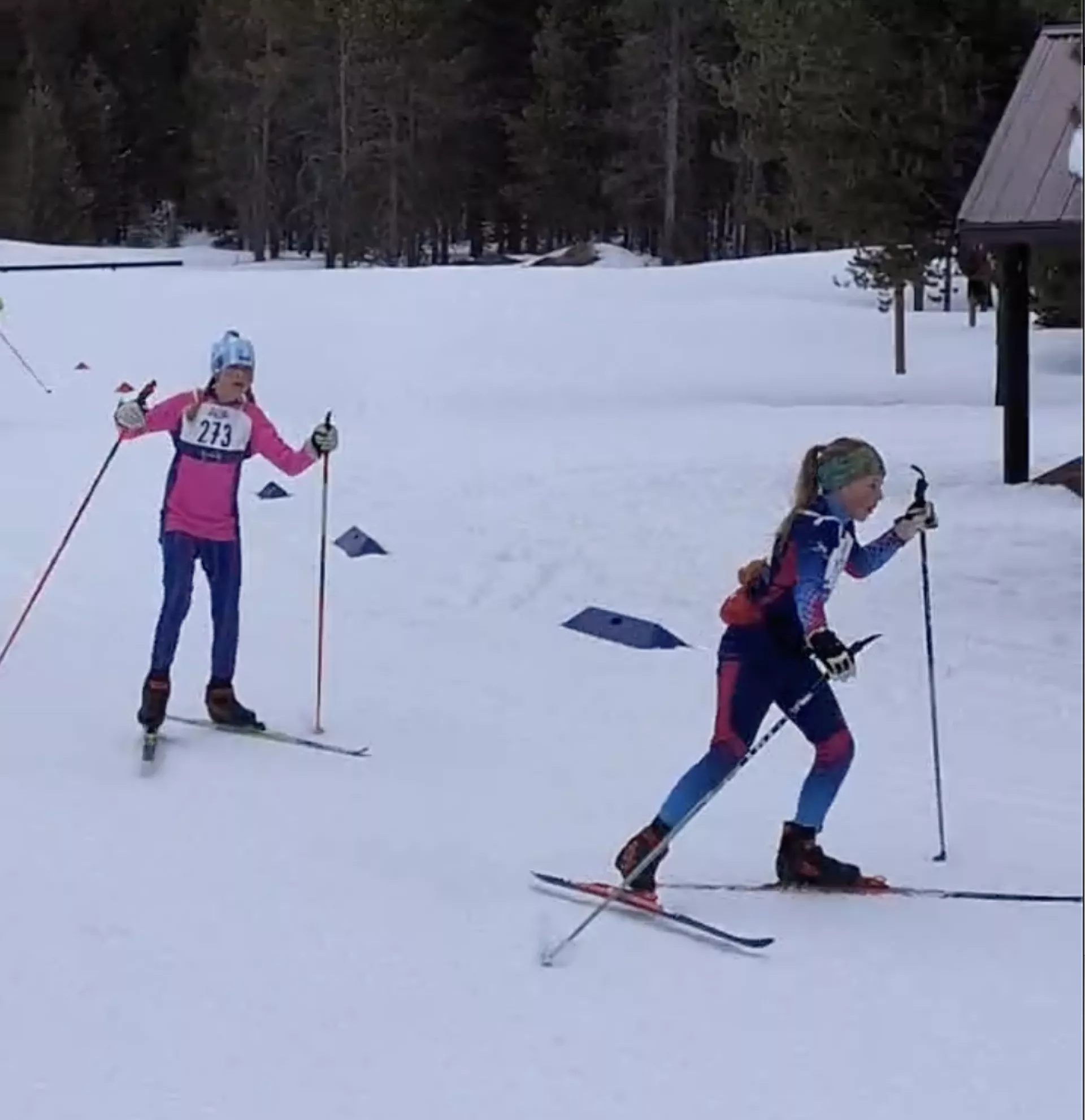 Female Nordic Skiers